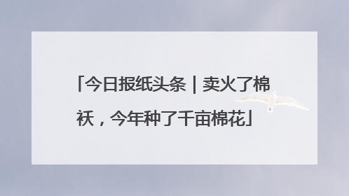 今日报纸头条｜卖火了棉袄，今年种了千亩棉花