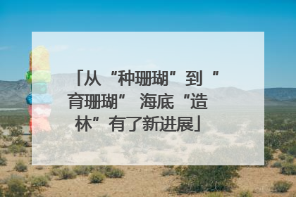 从“种珊瑚”到“育珊瑚” 海底“造林”有了新进展