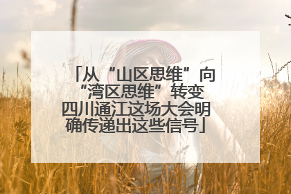 从“山区思维”向“湾区思维”转变 四川通江这场大会明确传递出这些信号