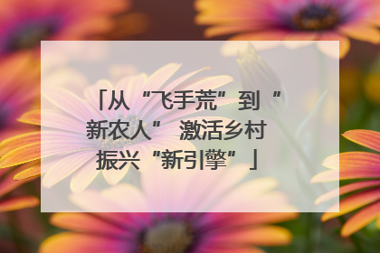 从“飞手荒”到“新农人” 激活乡村振兴“新引擎”