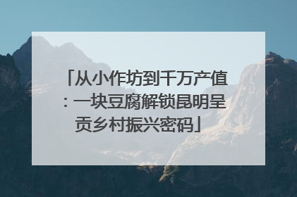 从小作坊到千万产值：一块豆腐解锁昆明呈贡乡村振兴密码