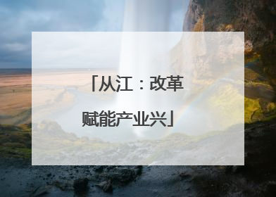 从江：改革赋能产业兴
