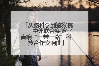 从脑科学到猕猴桃——中外联合实验室奏响“一带一路”科技合作交响曲