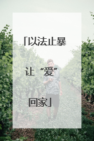 以法止暴 让“爱”回家