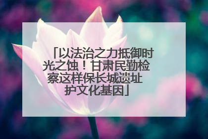 以法治之力抵御时光之蚀！甘肃民勤检察这样保长城遗址 护文化基因