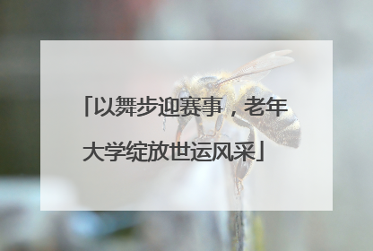 以舞步迎赛事，老年大学绽放世运风采