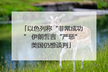 以色列称“非常成功” 伊朗誓言“严惩” 美国仍想谈判