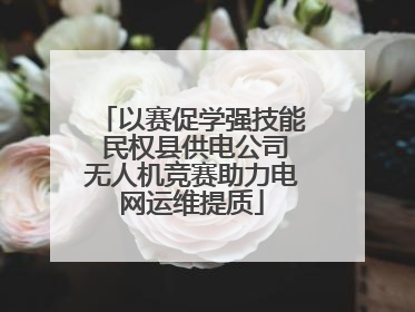 以赛促学强技能 民权县供电公司无人机竞赛助力电网运维提质