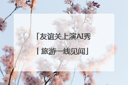 友谊关上演AI秀丨旅游一线见闻