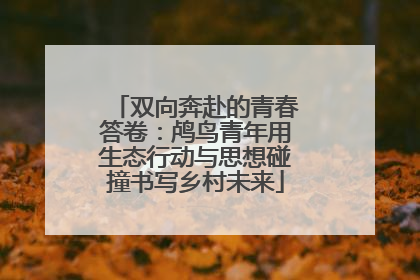 双向奔赴的青春答卷：鸬鸟青年用生态行动与思想碰撞书写乡村未来