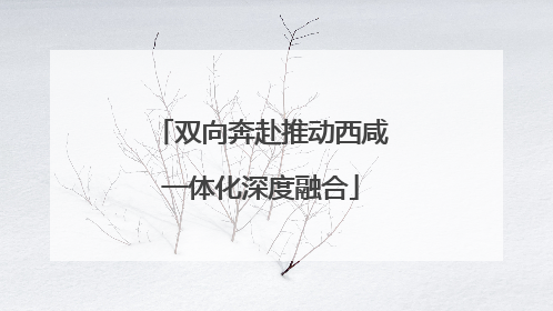 双向奔赴推动西咸一体化深度融合