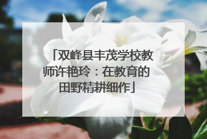 双峰县丰茂学校教师许艳玲：在教育的田野精耕细作