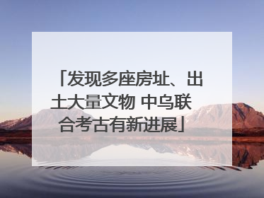 发现多座房址、出土大量文物 中乌联合考古有新进展
