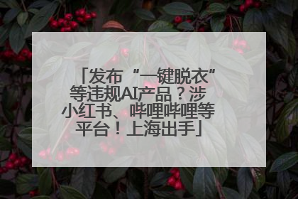 发布“一键脱衣”等违规AI产品？涉小红书、哔哩哔哩等平台！上海出手