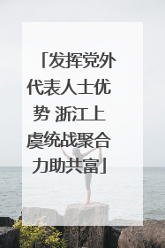 发挥党外代表人士优势 浙江上虞统战聚合力助共富