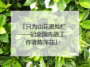 只为山花更灿烂——记全国先进工作者陈萍花