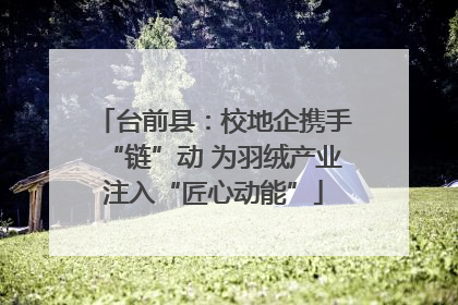 台前县：校地企携手“链”动 为羽绒产业注入“匠心动能”