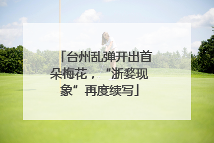 台州乱弹开出首朵梅花，“浙婺现象”再度续写