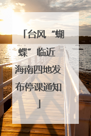台风“蝴蝶”临近 海南四地发布停课通知