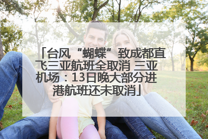 台风“蝴蝶”致成都直飞三亚航班全取消 三亚机场：13日晚大部分进港航班还未取消