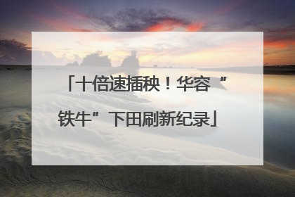 十倍速插秧！华容“铁牛”下田刷新纪录
