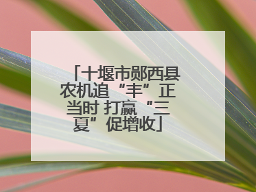 十堰市郧西县农机追“丰”正当时 打赢“三夏”促增收