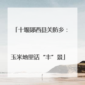 十堰郧西县关防乡：玉米地里话“丰”景