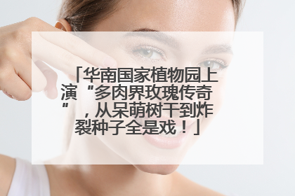 华南国家植物园上演“多肉界玫瑰传奇”，从呆萌树干到炸裂种子全是戏！