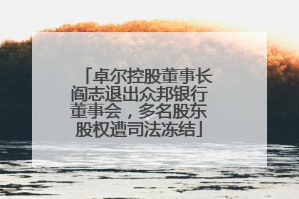 卓尔控股董事长阎志退出众邦银行董事会，多名股东股权遭司法冻结