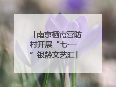 南京栖霞营防村开展“七·一”银龄文艺汇