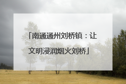 南通通州刘桥镇：让文明浸润烟火刘桥