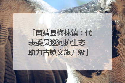 南靖县梅林镇：代表委员巡河护生态 助力古镇文旅升级