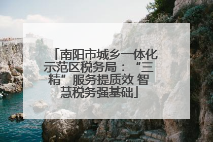 南阳市城乡一体化示范区税务局：“三精”服务提质效 智慧税务强基础