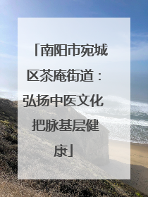 南阳市宛城区茶庵街道：弘扬中医文化 把脉基层健康