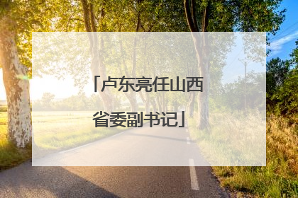 卢东亮任山西省委副书记