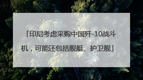 印尼考虑采购中国歼-10战斗机，可能还包括舰艇、护卫舰