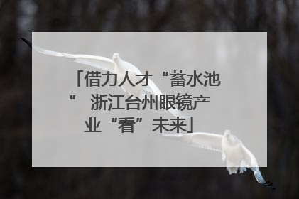 借力人才“蓄水池” 浙江台州眼镜产业“看”未来