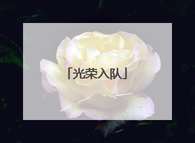 光荣入队
