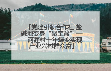 党建引领合作社 盐碱地变身“聚宝盆”——河涯村十年蝶变实现产业兴村群众富