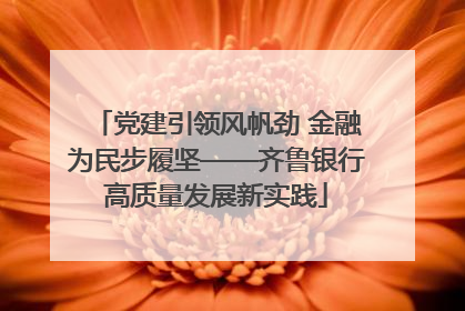 党建引领风帆劲 金融为民步履坚——齐鲁银行高质量发展新实践