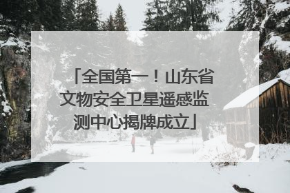 全国第一！山东省文物安全卫星遥感监测中心揭牌成立