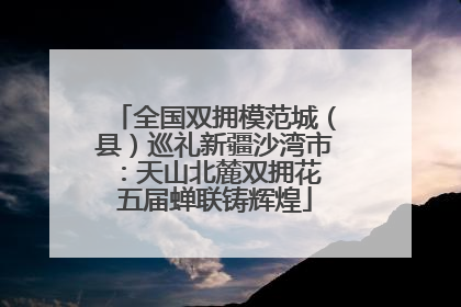全国双拥模范城（县）巡礼新疆沙湾市：天山北麓双拥花 五届蝉联铸辉煌