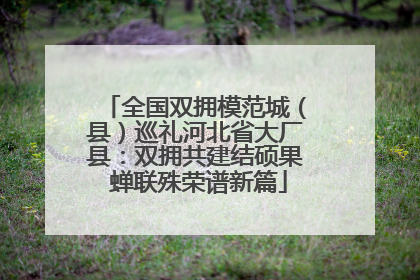 全国双拥模范城（县）巡礼河北省大厂县：双拥共建结硕果 蝉联殊荣谱新篇