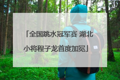 全国跳水冠军赛 湖北小将程子龙首度加冕
