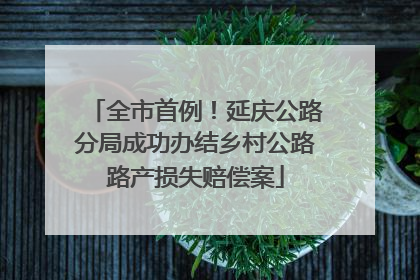全市首例！延庆公路分局成功办结乡村公路路产损失赔偿案