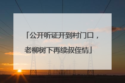 公开听证开到村门口，老柳树下再续叔侄情