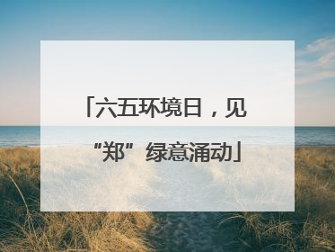 六五环境日，见“郑”绿意涌动