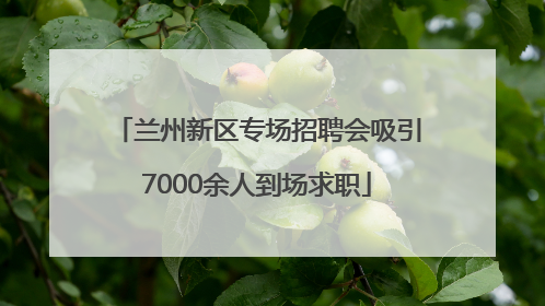 兰州新区专场招聘会吸引7000余人到场求职