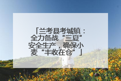 兰考县考城镇：全力备战“三夏”安全生产，确保小麦“丰收在仓”