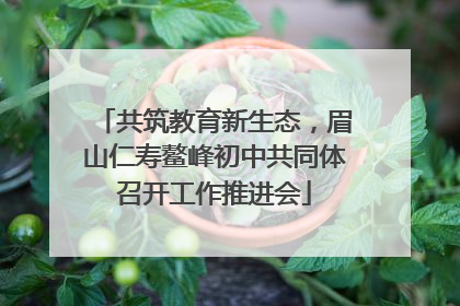 共筑教育新生态，眉山仁寿鳌峰初中共同体召开工作推进会
